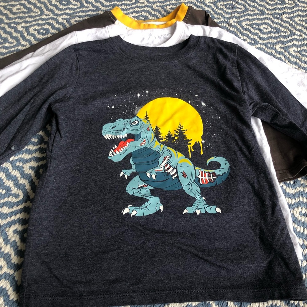 3 Boys Dinosaur Long Sleeve T-Shirts, Size 4-5